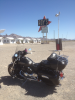 Roys_Motel_Mojave_Desert-_submission.png