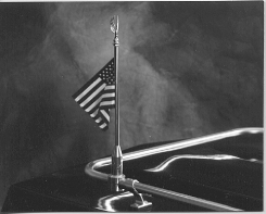 Fold Down Flag Poles